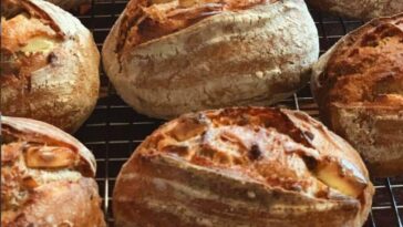 What city has the best sourdough bread?