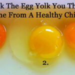 What color egg yolk is healthy?