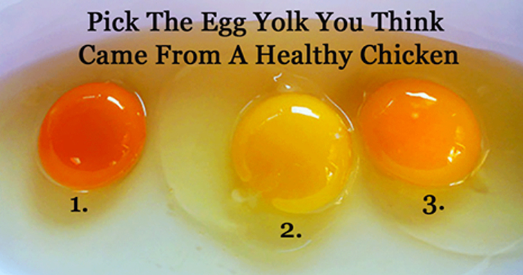 What color egg yolk is healthy?