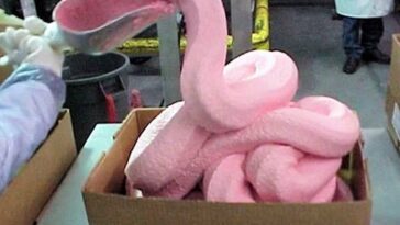 What companies use pink slime?