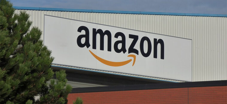 What company did Amazon buy?