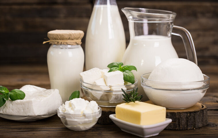 What dairy products can lactose intolerance eat?