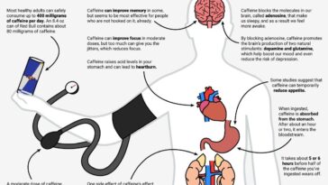 What do Reds do for your body?