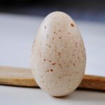 What do eggos taste like?