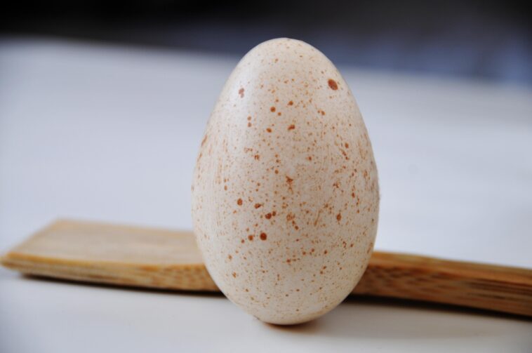 What do eggos taste like?