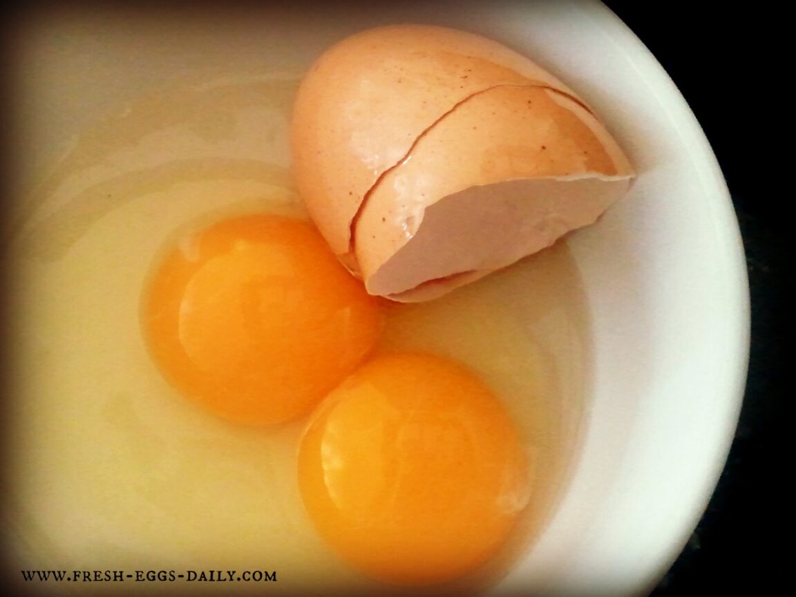 What do you feed chickens to make the yolk orange?