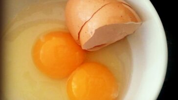 What do you feed chickens to make the yolk orange?