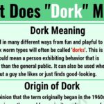 What does Bonchon mean in English?