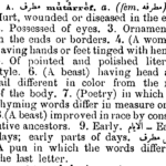 What does Chobani mean in Turkish?