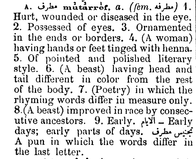 What does Chobani mean in Turkish?