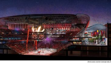 What does Little Caesars wings look like?