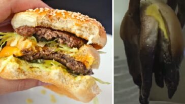 What does McDonald's do to your body?