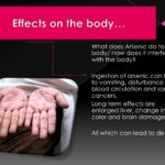 What does arsenic do to humans?