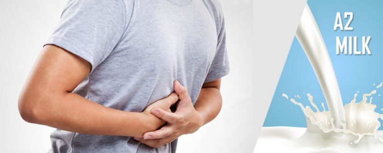 What does beat the bloat do?