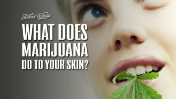 What does blueberry do for your skin?