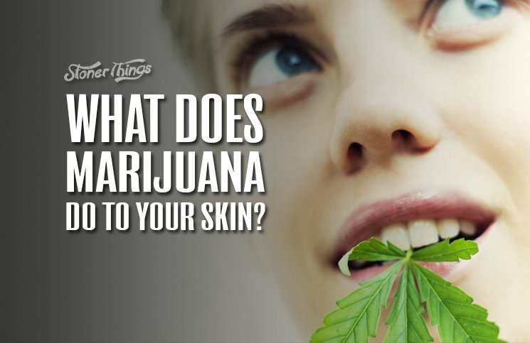 What does blueberry do for your skin?