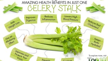 What does celery do for the female body?