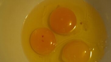 What does egg do in doughnuts?