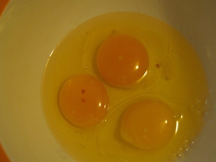 What does egg do in doughnuts?