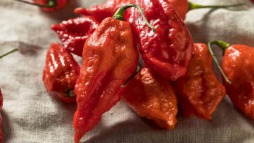 What does ghost pepper ranch taste like?