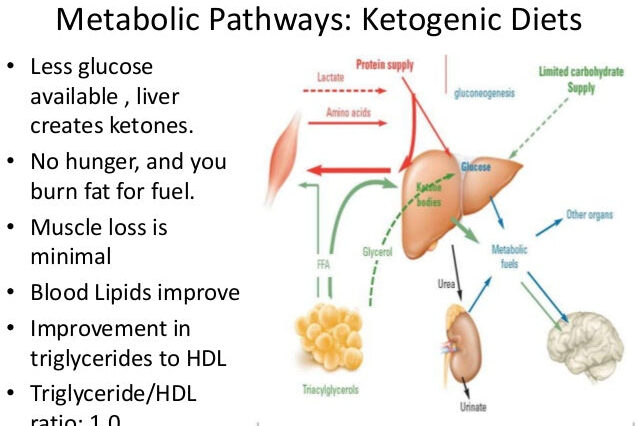 What does ketosis do to your liver?