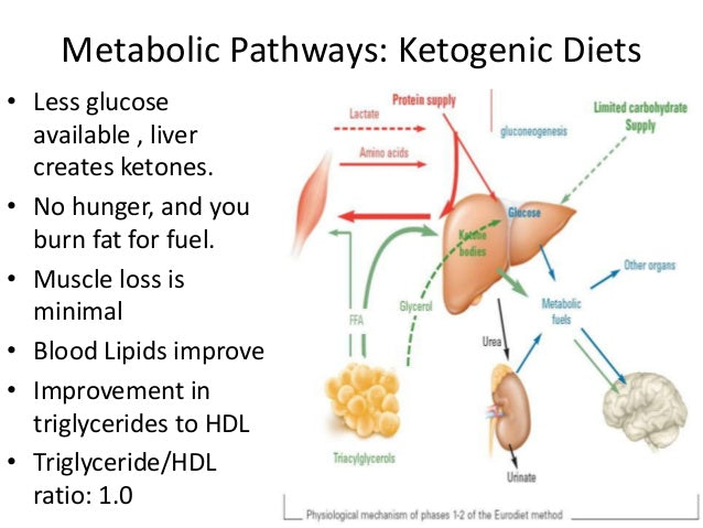 What does ketosis do to your liver?