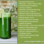What does liquid chlorophyll do?