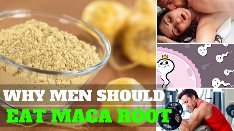 What does maca do for females?