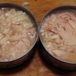 What does spoiled canned tuna look like?