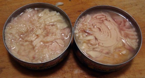 What does spoiled canned tuna look like?