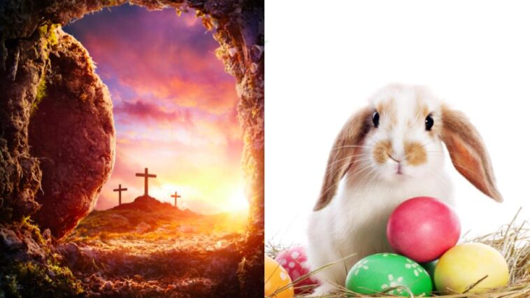 What does the Easter Bunny have to do with Jesus?