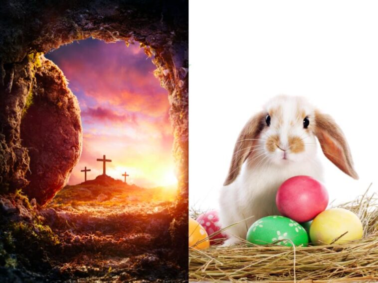 What does the Easter Bunny have to do with Jesus?