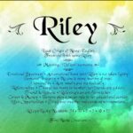 What does the name Brinkley mean?