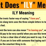 What does the word Gushers mean?