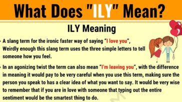 What does the word Gushers mean?