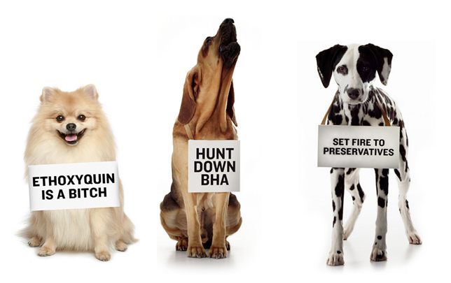 What dog food brands have BHA?