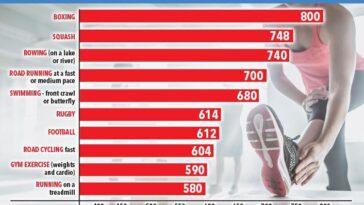 What exercise burns the most calories?