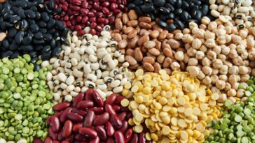 What fibers help you lose weight?