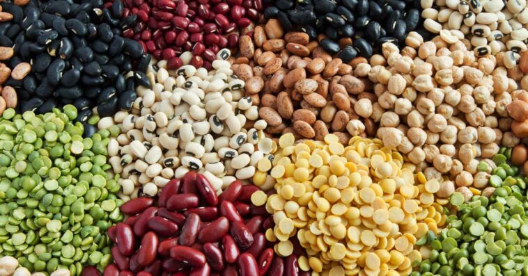 What fibers help you lose weight?