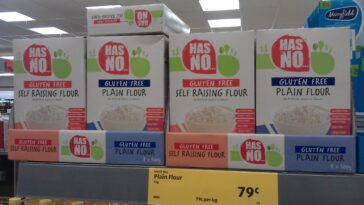 What flour has no gluten?