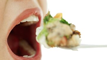 What food causes acne?