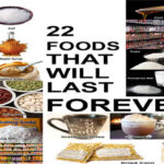 What food to buy that will last?