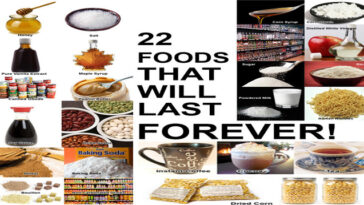 What food to buy that will last?