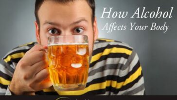 What foods absorbs alcohol?