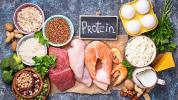 What foods are the highest in protein?