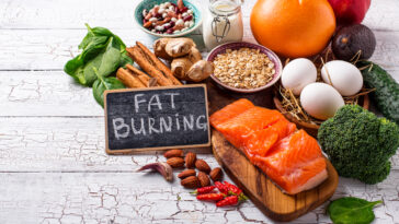 What foods cause fat gain?