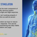 What foods heal vagus nerve?