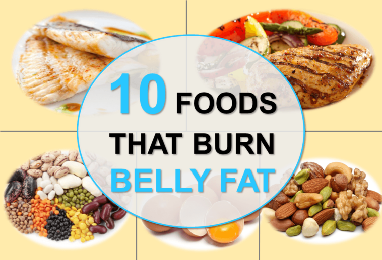 What foods help burn belly fat?