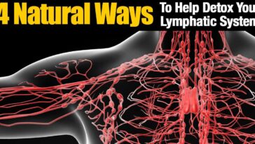 What foods help drain your lymphatic system?