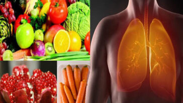 What foods help repair lungs?